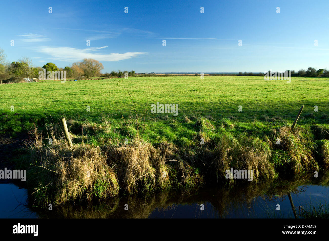 Reen on Gwent Levels  Wetland Nature Reserve near Newport, South Wales. Stock Photo