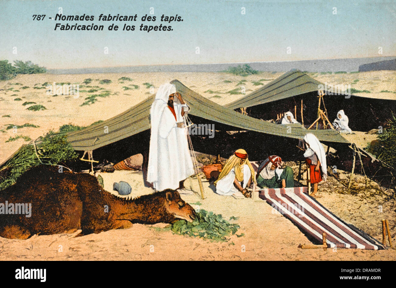 Nomads making rugs in the desert, Tunisia Stock Photo