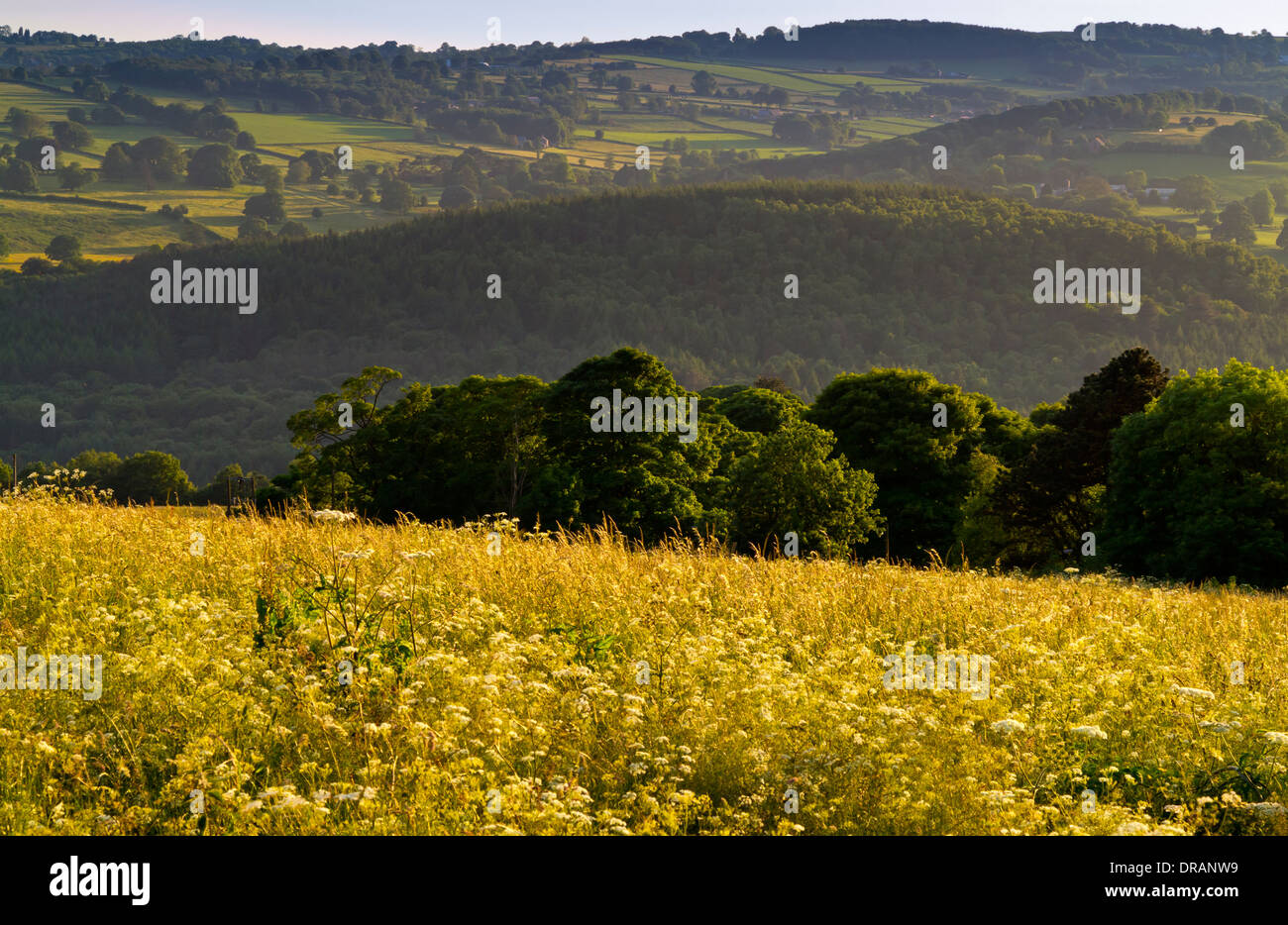 Amber valley, derbyshire hires stock photography and images Alamy