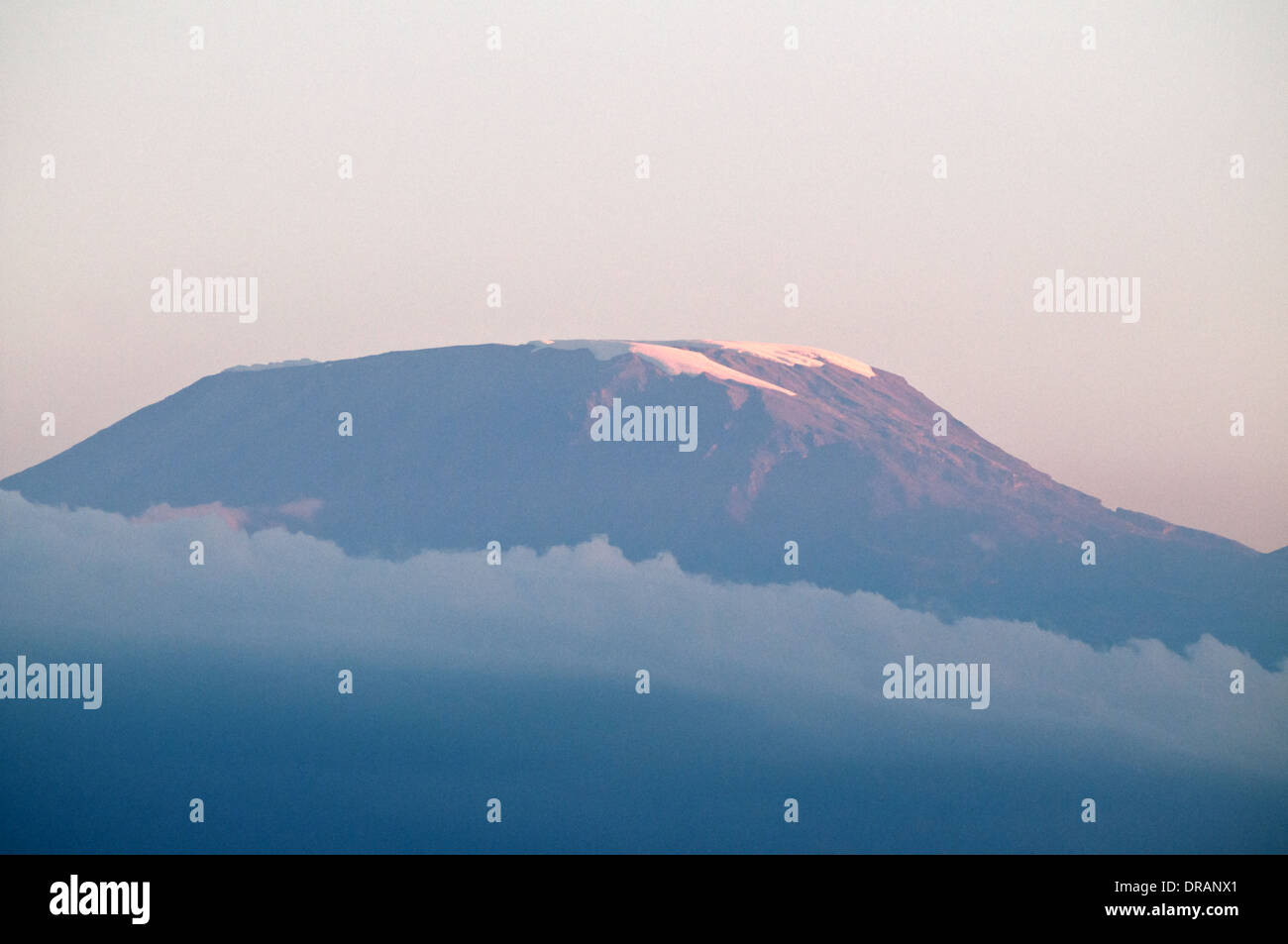 Kilimanjaro summit with glacial snow seen from plains of Amboseli National Park Kenya East Africa Stock Photo