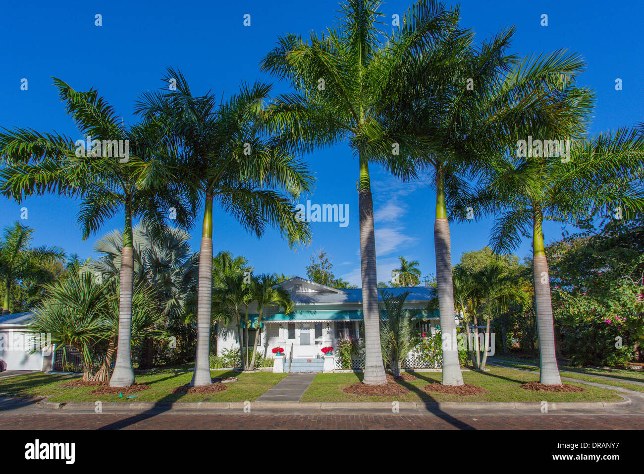 American Craftsman bungalow house among tropical palm trees in Punta Gorda Florida Stock Photo