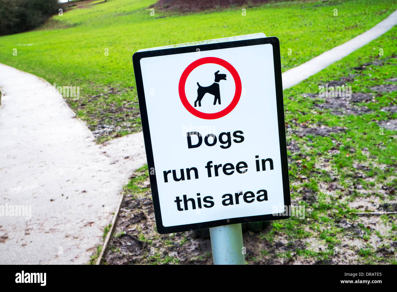 Sign dogs run free in this area warning park safety notice dog walking