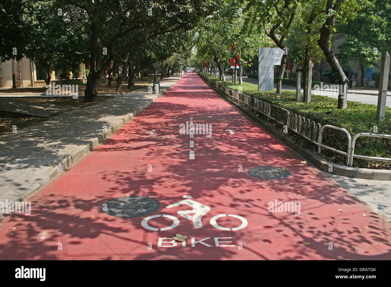 Bicycle lane in Shenzhen, China Stock Photo Alamy