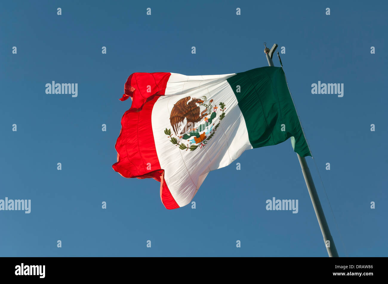 Mexico national symbol hi-res stock photography and images - Alamy