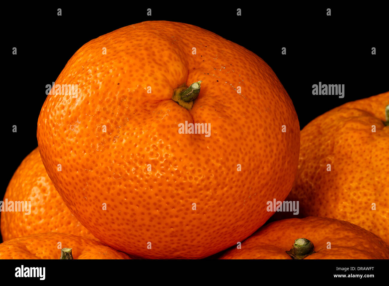 Fresh Mandarin Orange Stock Photo