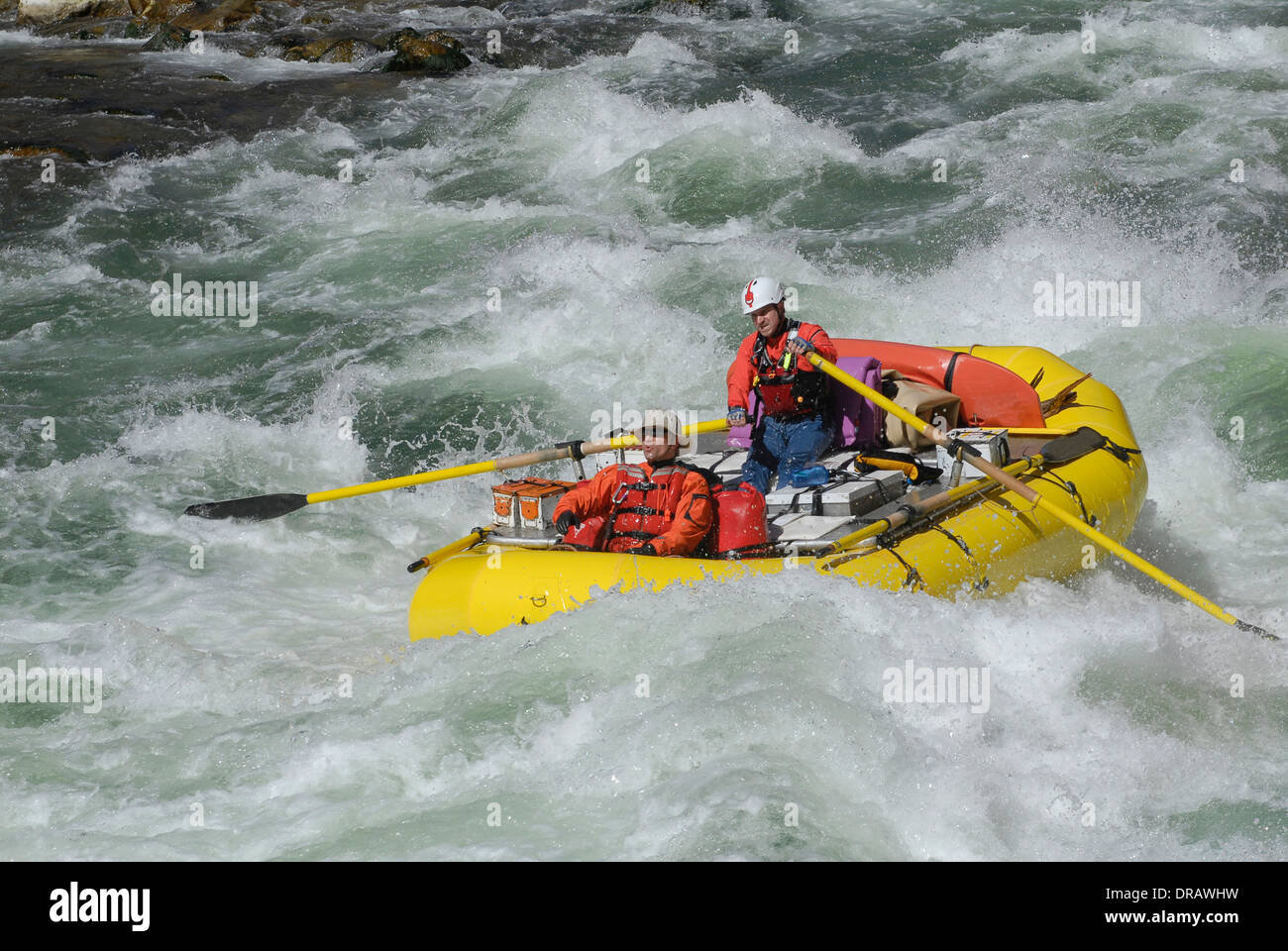 Rafters pushing through a rapid on the Colorado River Stock Photo