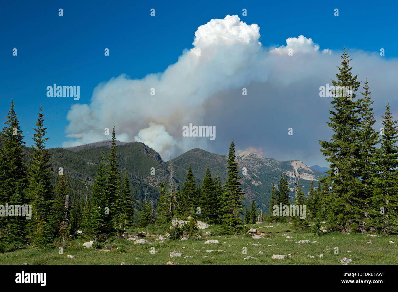A forest fire in the Bob Marshall Wilderness in Montana along Moose Ridge and in the Rock Creek drainage. USA Stock Photo