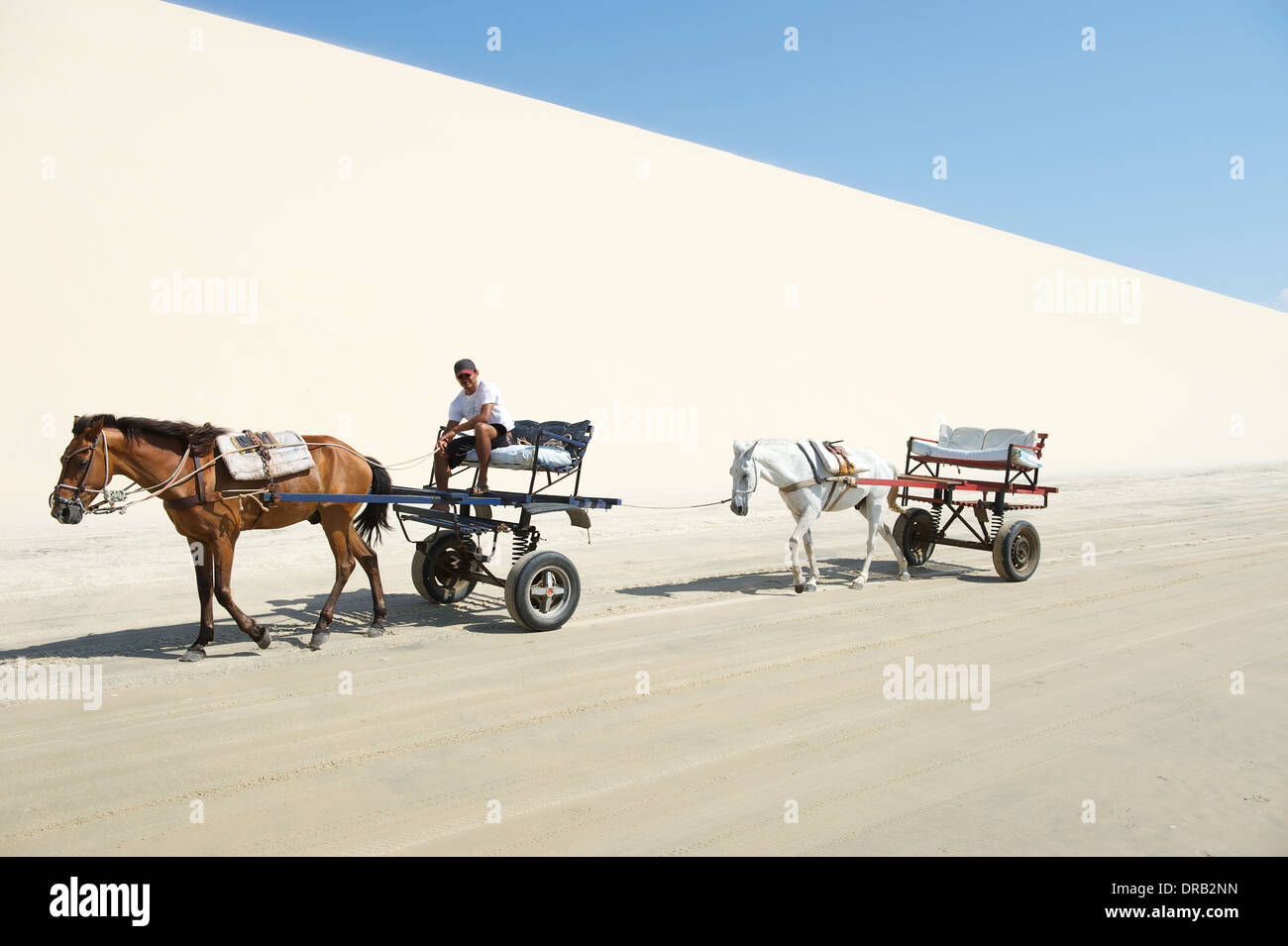 Traditional horses and carts stand in front of large sand dune on Brazilian beach in Jericoacoara Nordeste Brazil Stock Photo