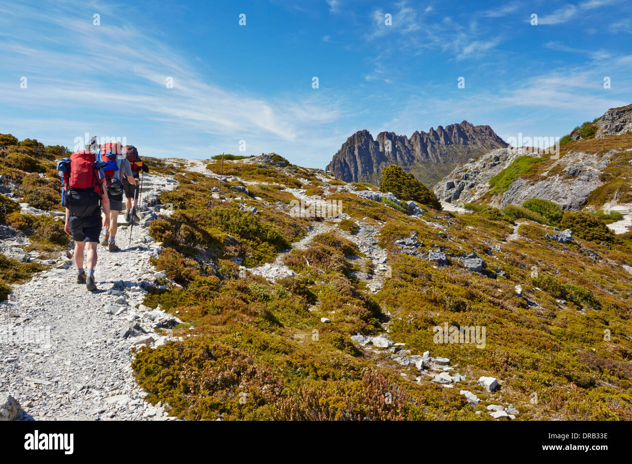 Hikers on the Overland Trail in Cradle Mountain National Park, Tasmania Stock Photo