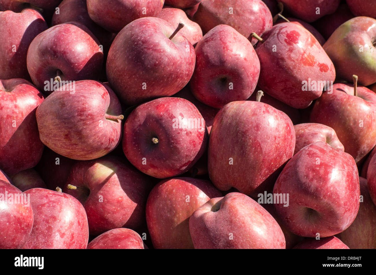 Apple Bins High Resolution Stock Photography and Images Alamy
