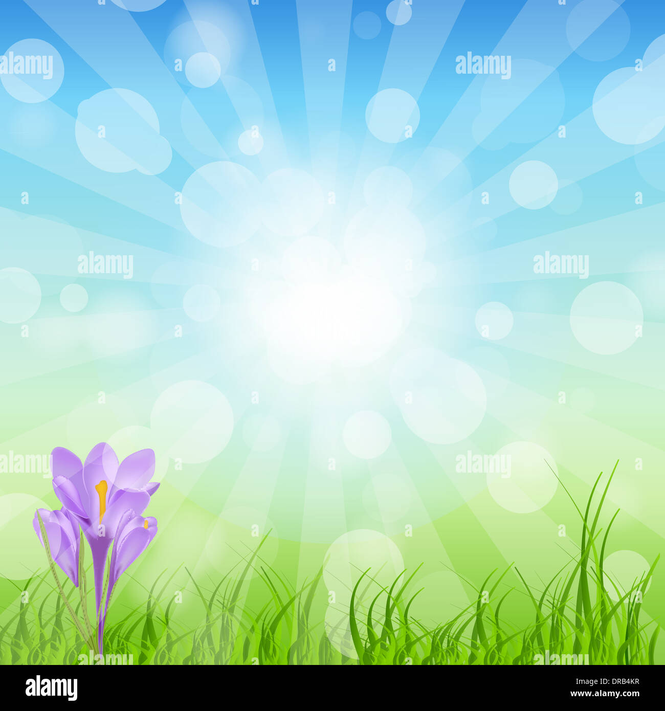 Spring green background. vector illustration Stock Photo