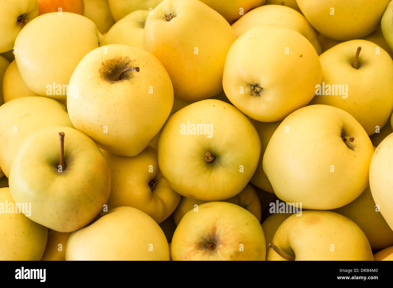 Apples on display in bulk bins at a farmer's market in Oregon. Hood