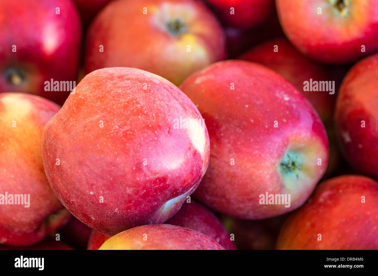 Apples on display in bulk bins at a farmer's market in Oregon. Hood