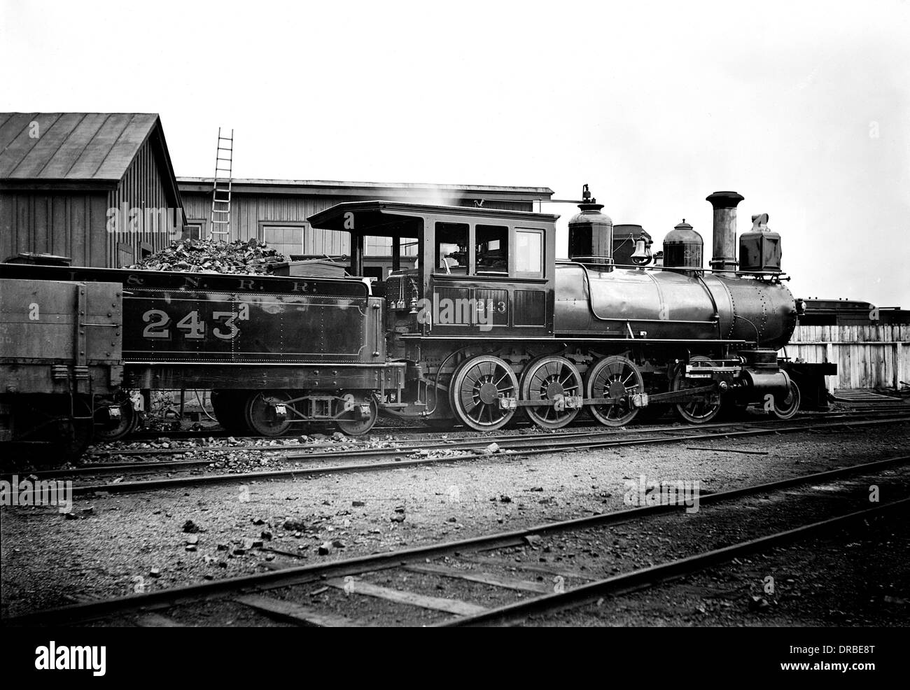 bargundie raleigh ラリー ループタイ colts Monday at the Fairfield County Fair