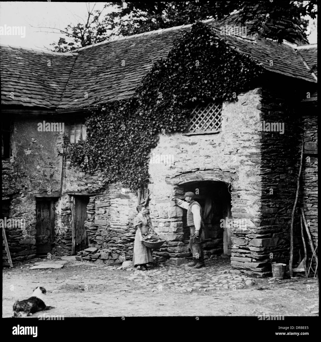 Farmyard Scene Taken Around 1906 Grasmere Cumbria Then In The County