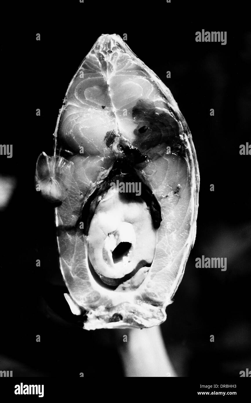 Kolkata gariahat market hires stock photography and images Alamy