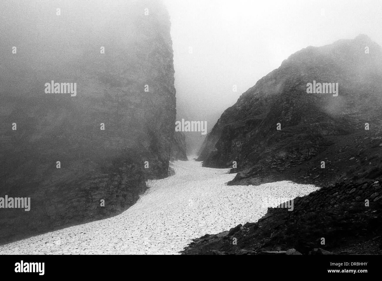 Uttarakhand valley of flowers Black and White Stock Photos & Images - Alamy