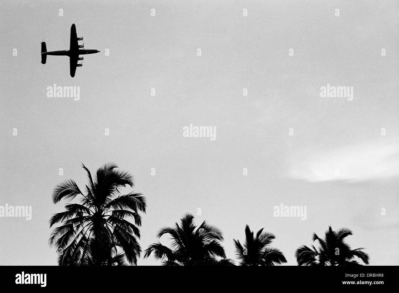 Turbo aeroplane flying over palm trees, Goa, India, 1981 Stock Photo