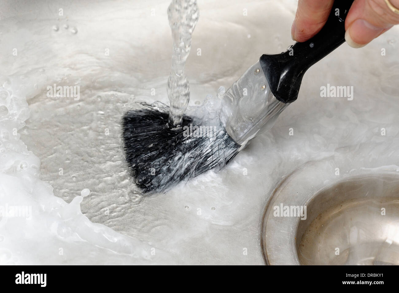 Paint brush being washed in a sink Stock Photo Alamy
