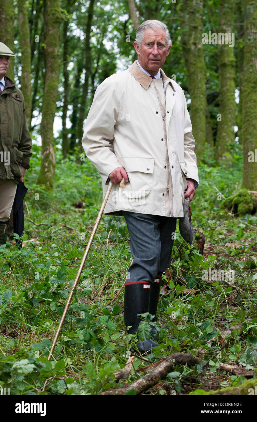 Prince Charles, Prince of Wales watches three apprentices from British