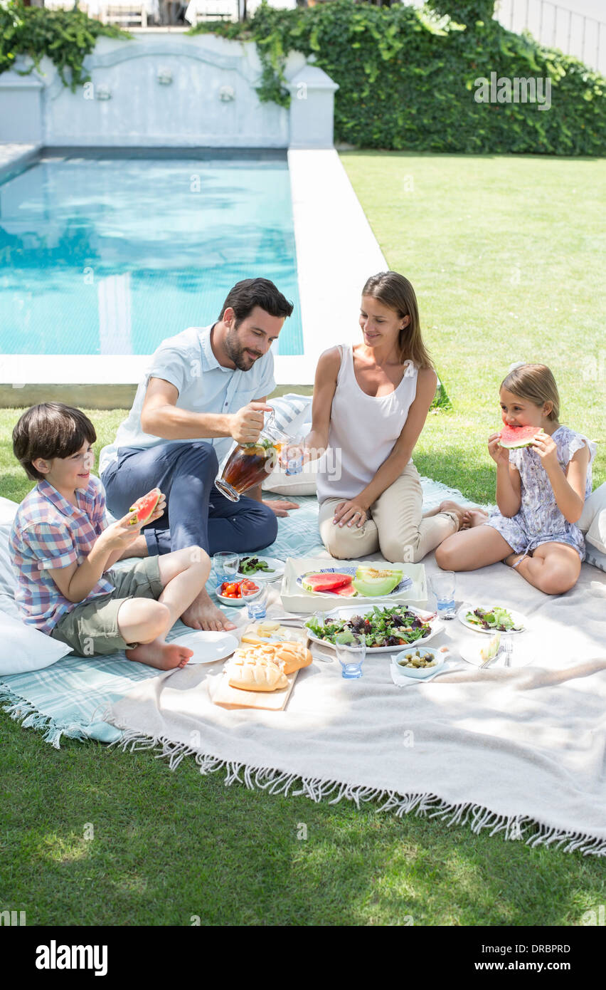 Family enjoying picnic in backyard Stock Photo Alamy