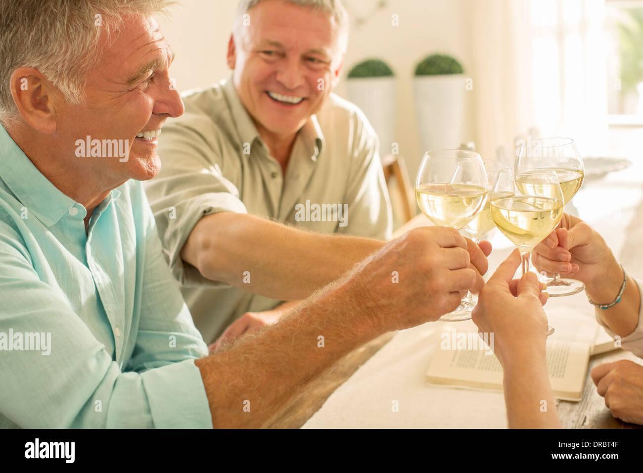 Senior friends toasting wine glasses Stock Photo