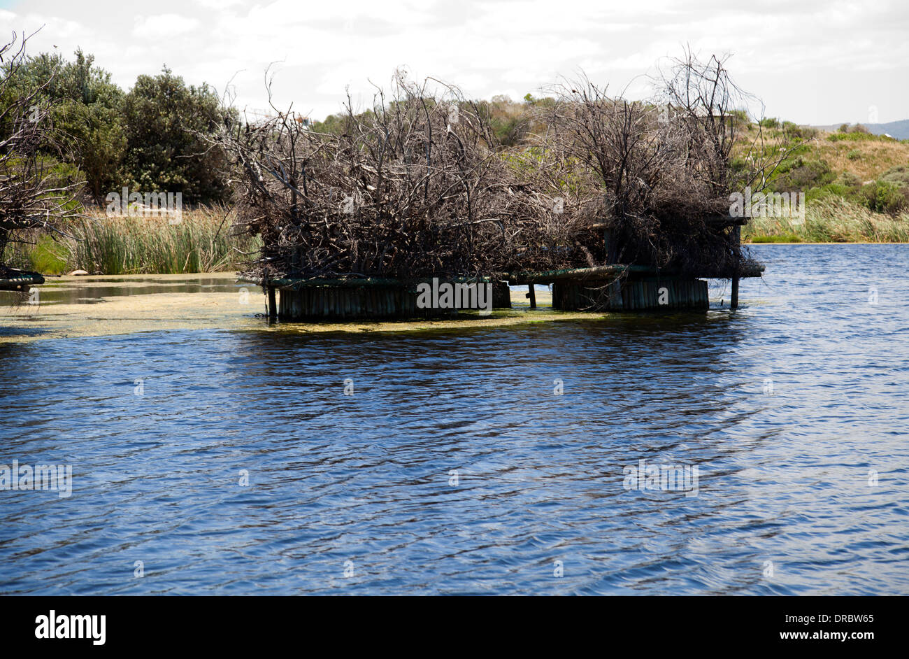 Intaka Island Nature Reserve - Man Made Structures on Lake for Wildlife - cape Town - South Africa Stock Photo