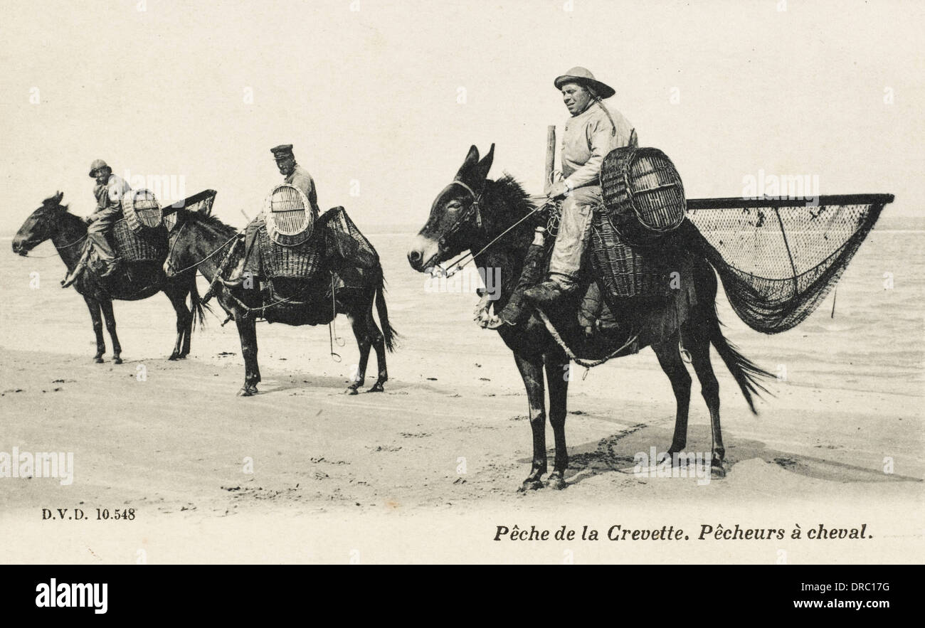 Mules france hi-res stock photography and images - Alamy