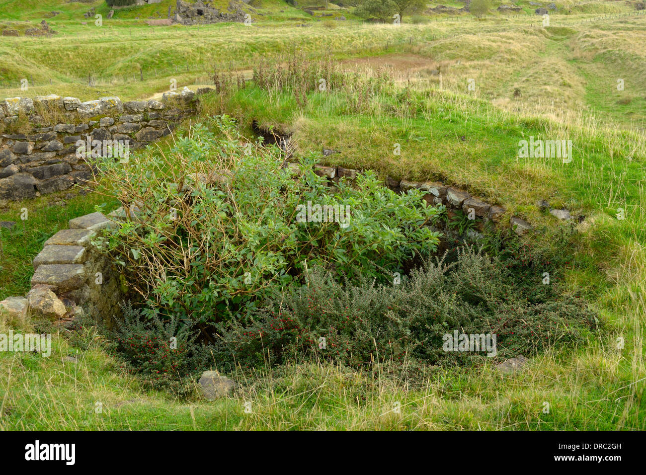 Old lime kiln penwyllt hires stock photography and images Alamy