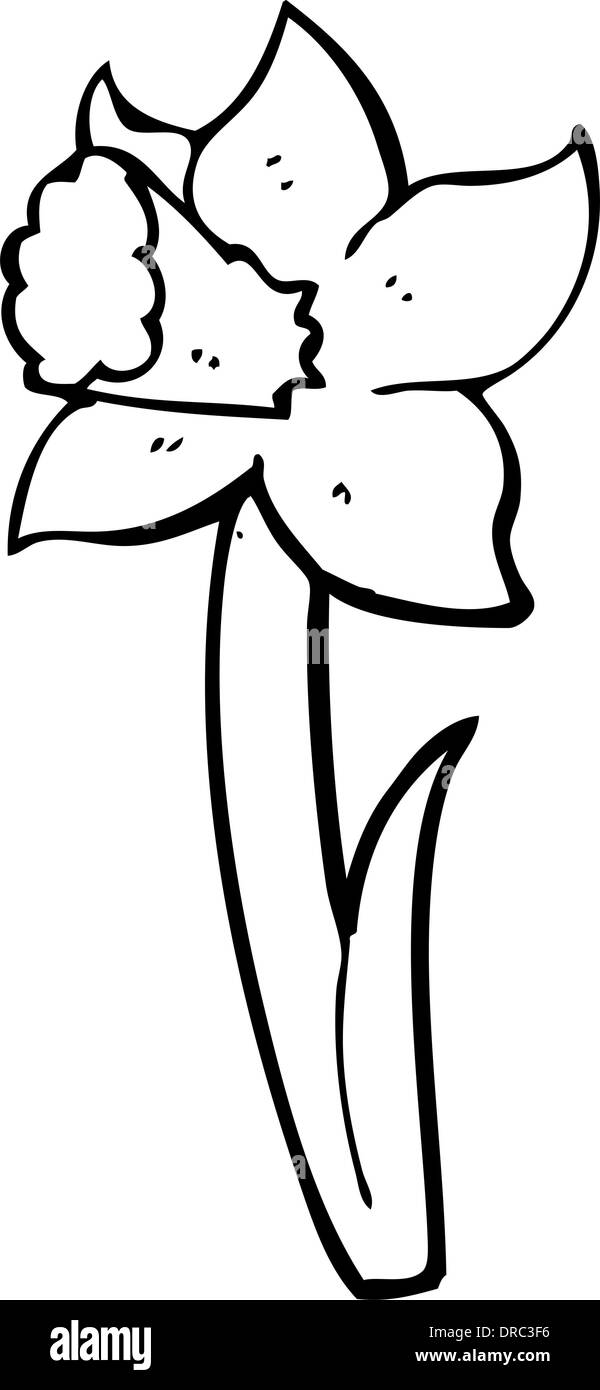 cartoon daffodil stock vector image art alamy https www alamy com cartoon daffodil image66034394 html