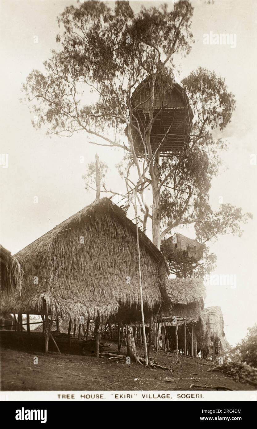 Treehouses papua hires stock photography and images Alamy