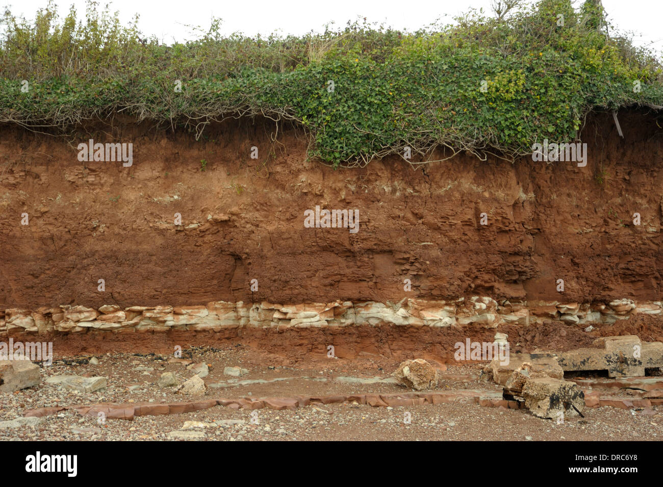 Seashore Strata Near Barry Stock Photo