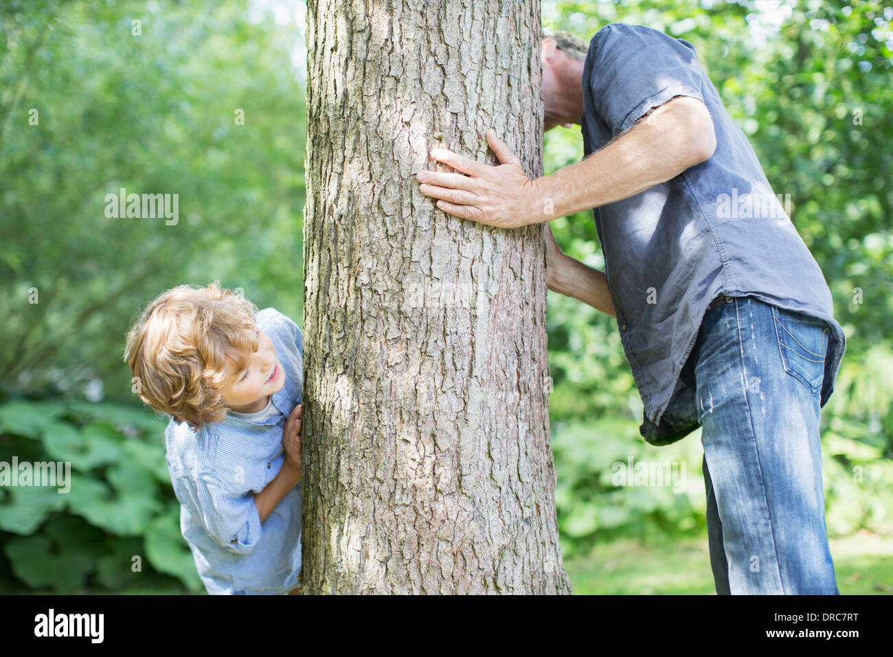 Father and son peeking around tree Stock Photo