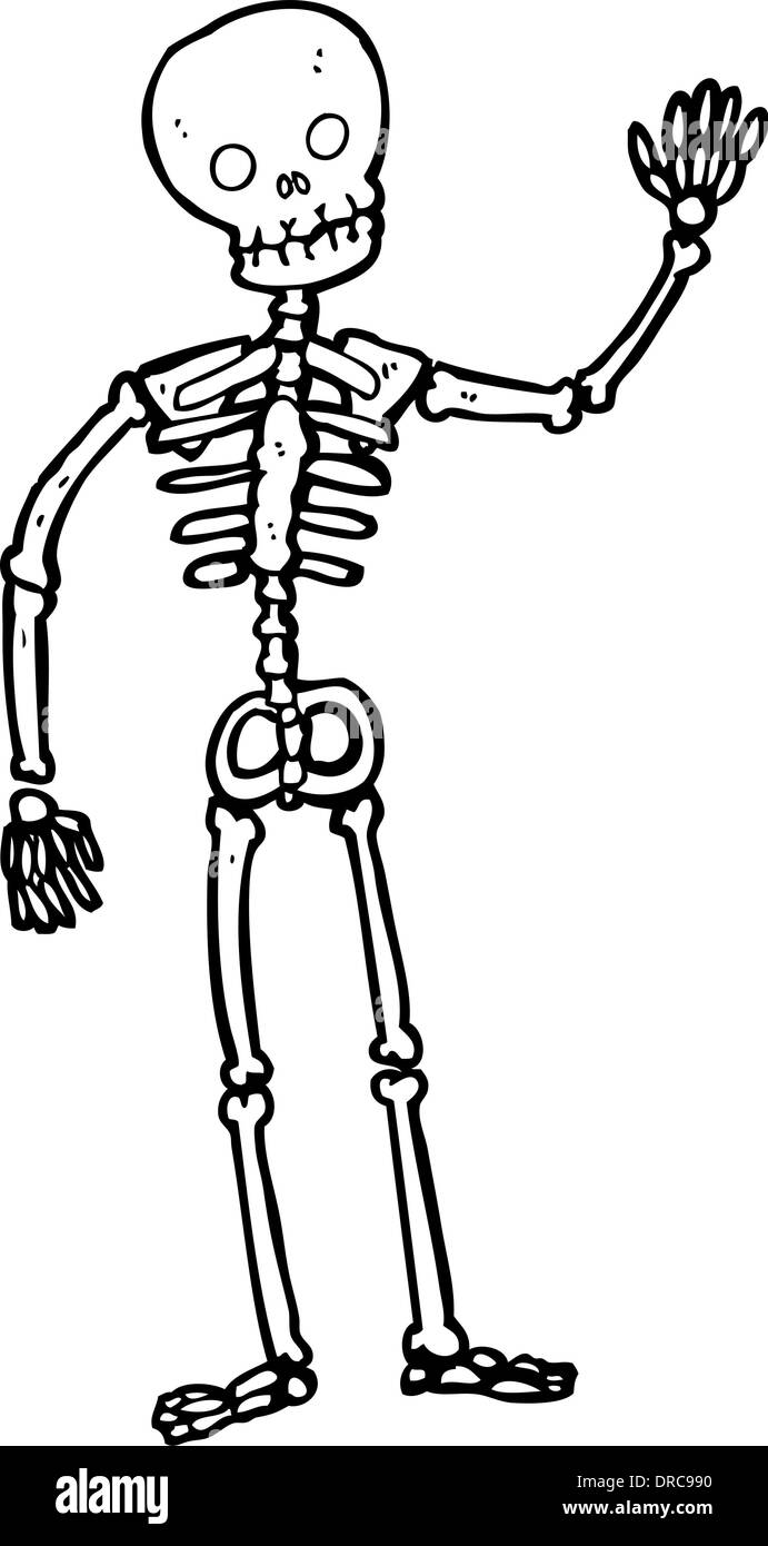 Halloween drawings] How to draw a Skeleton - Easy step by step