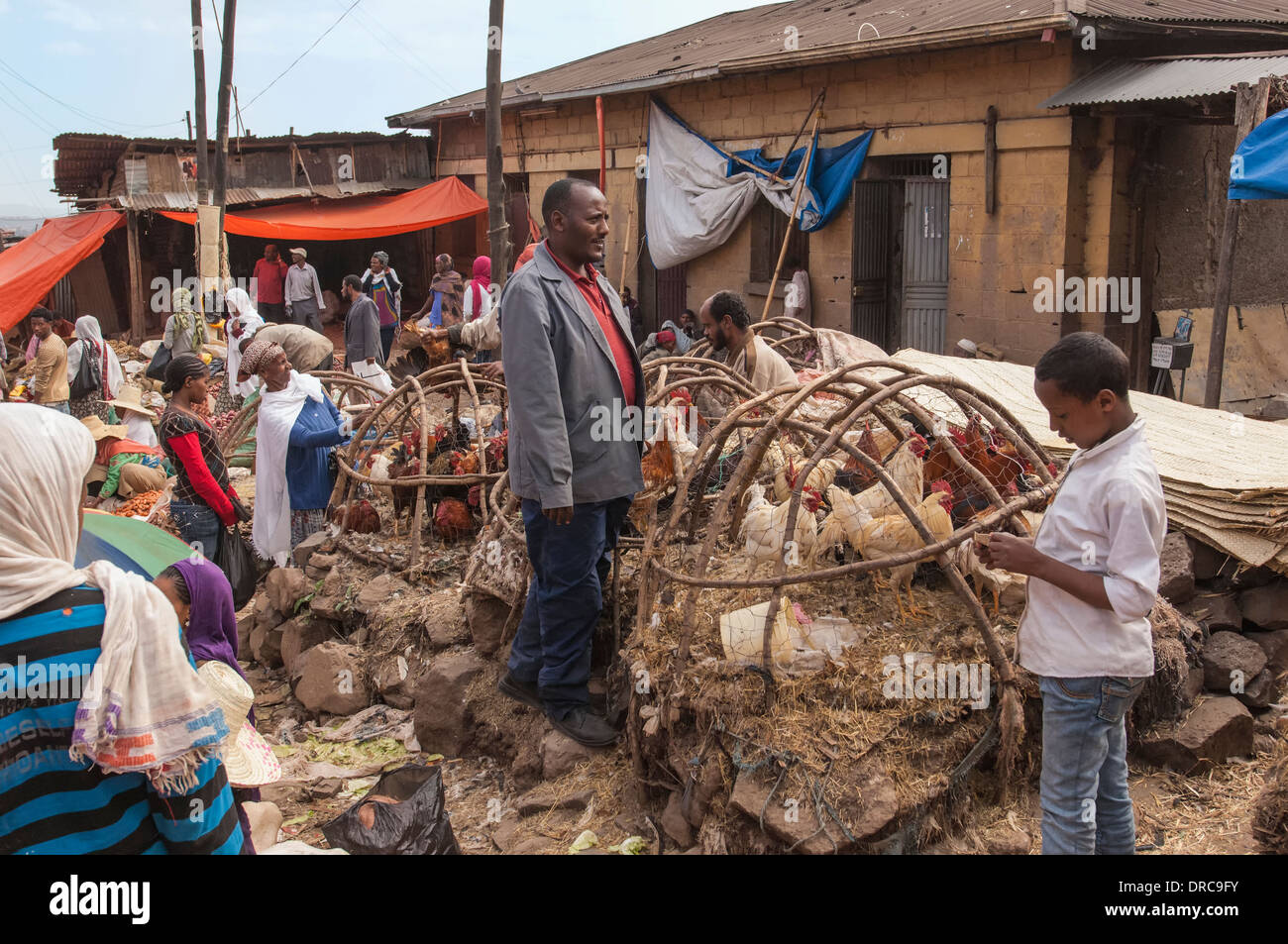 Chickens in a basket, Market street scene, Mercato of Addis Ababa