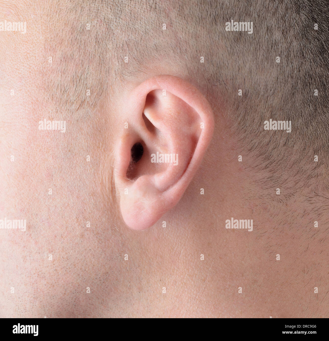 Close macro of an ear Stock Photo