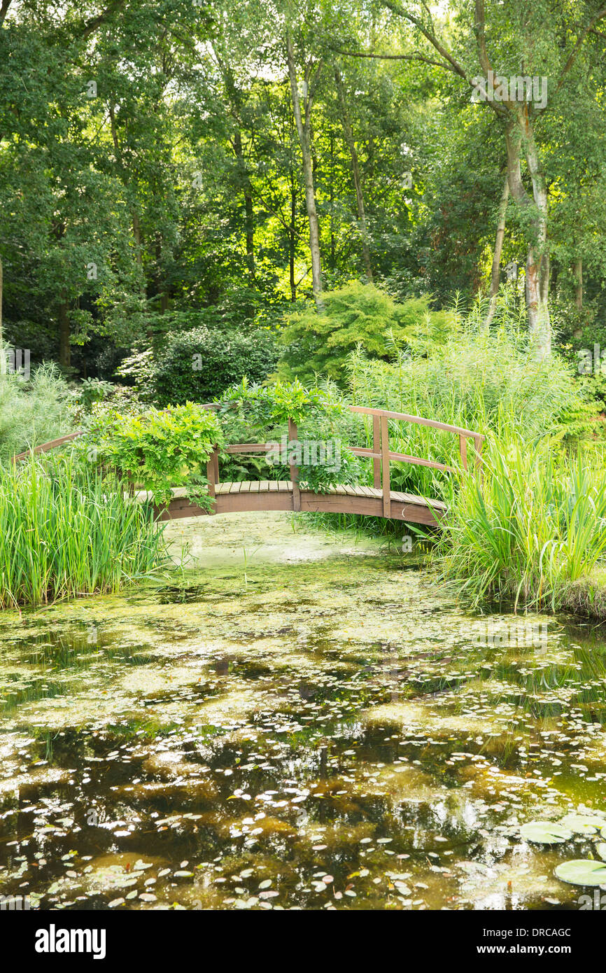 Wooden footbridge over pond Stock Photo