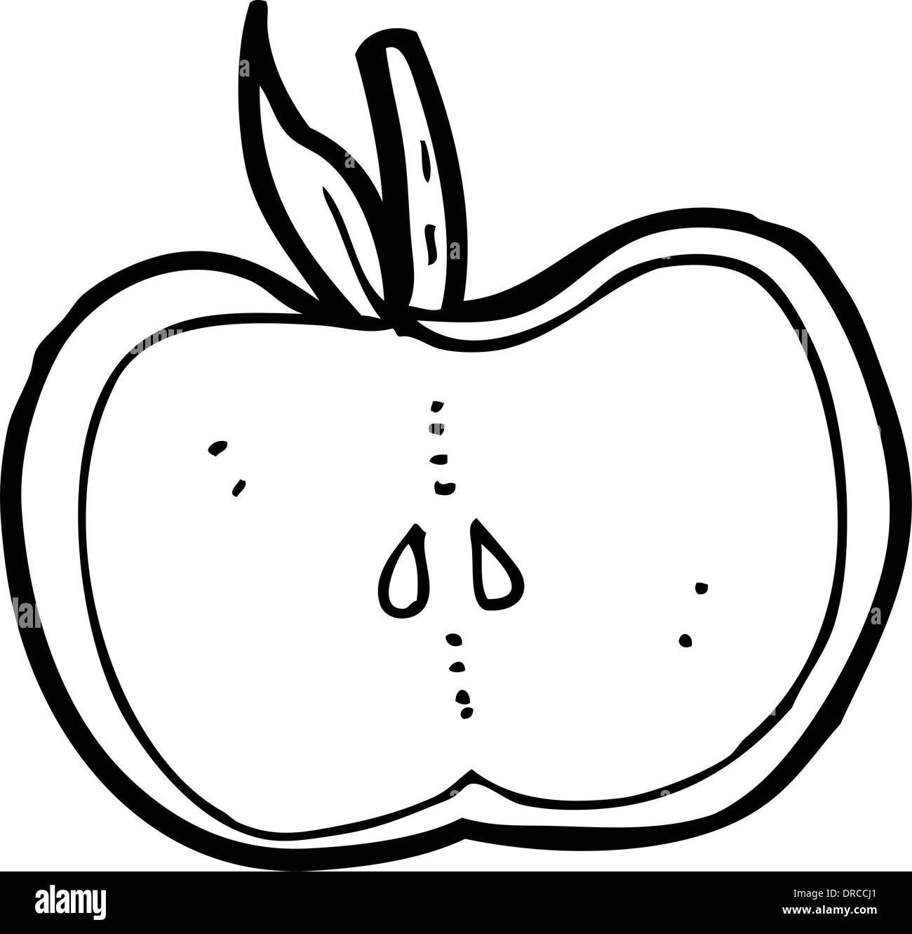 cartoon apple half Stock Vector