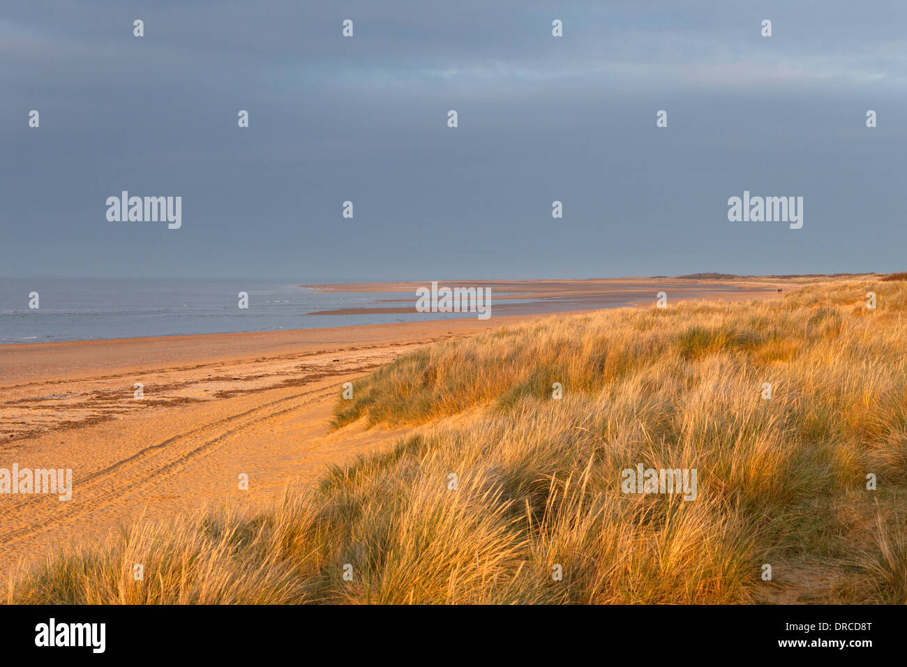 Old Hunstanton beach and dunes in warm evening light, North Norfolk