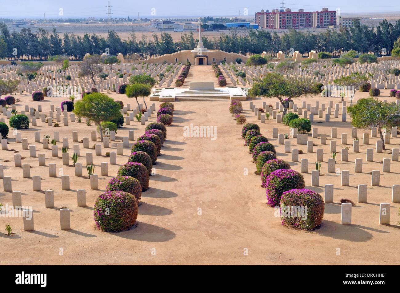 El Alamein, Egypt. 10th Jan, 2014. View of the Commonwealth war cemetery in El Alamein, Egypt, 10 January 2014. The Commonwealth war cemetery in El Alamein is the greatest of all war cemeteries on the Egyptian North Coast with graves of soldiers from various countries who fought on the Allied side. The cemetry commemorates Greek, New Zealand, Australian, South African, Indian and Canadian forces. Photo: Matthias Toedt - NO WIRE SERVICE/dpa/Alamy Live News Stock Photo