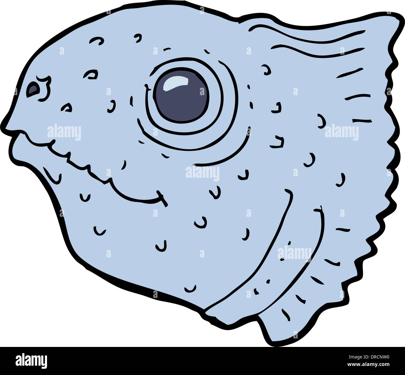cartoon fish head Stock Vector Image & Art Alamy