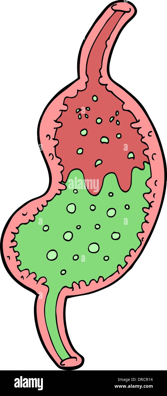 cartoon bubbling stomach Stock Vector Image & Art Alamy