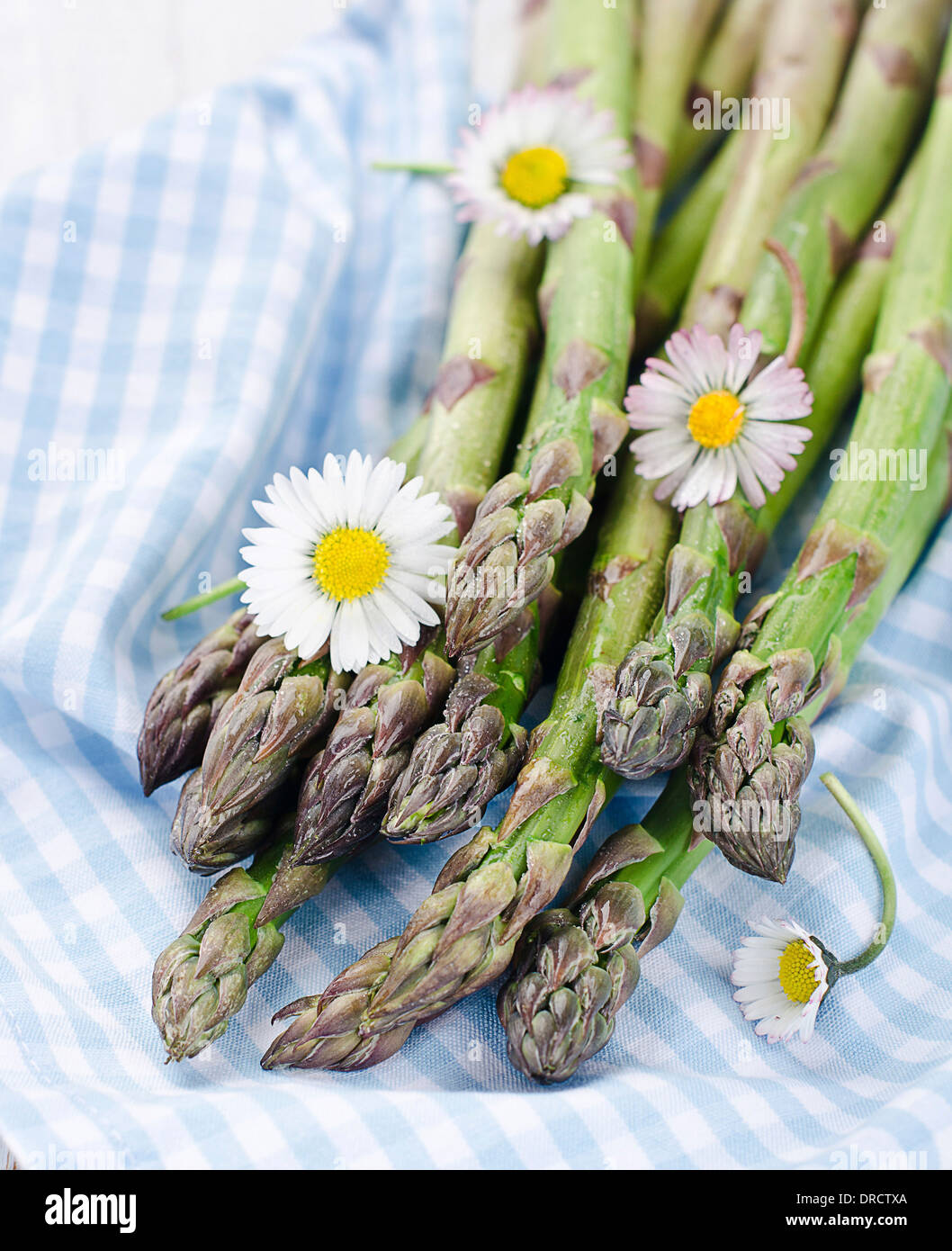 Asparagus Plant Flower High Resolution Stock Photography and Images Alamy