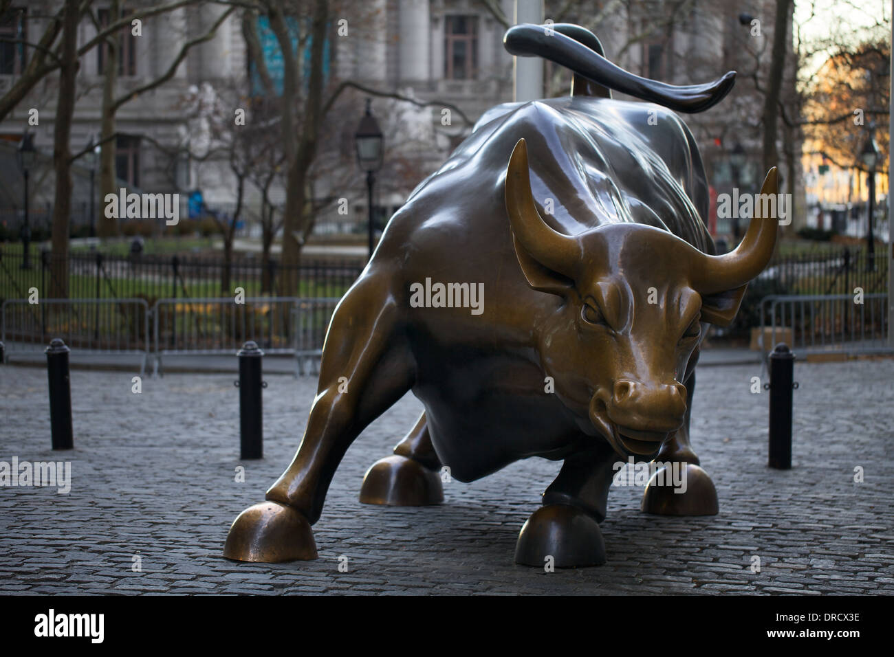 Charging Bull and the luck-rubbing ritual photo 1