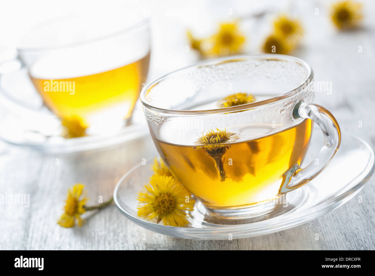 herbal tea with coltsfoot flowers Stock Photo