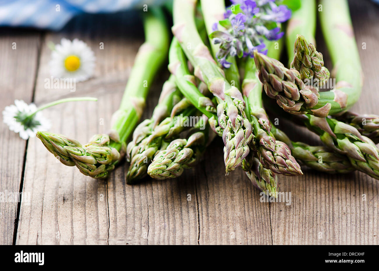 Asparagus Plant Flower High Resolution Stock Photography and Images - Alamy