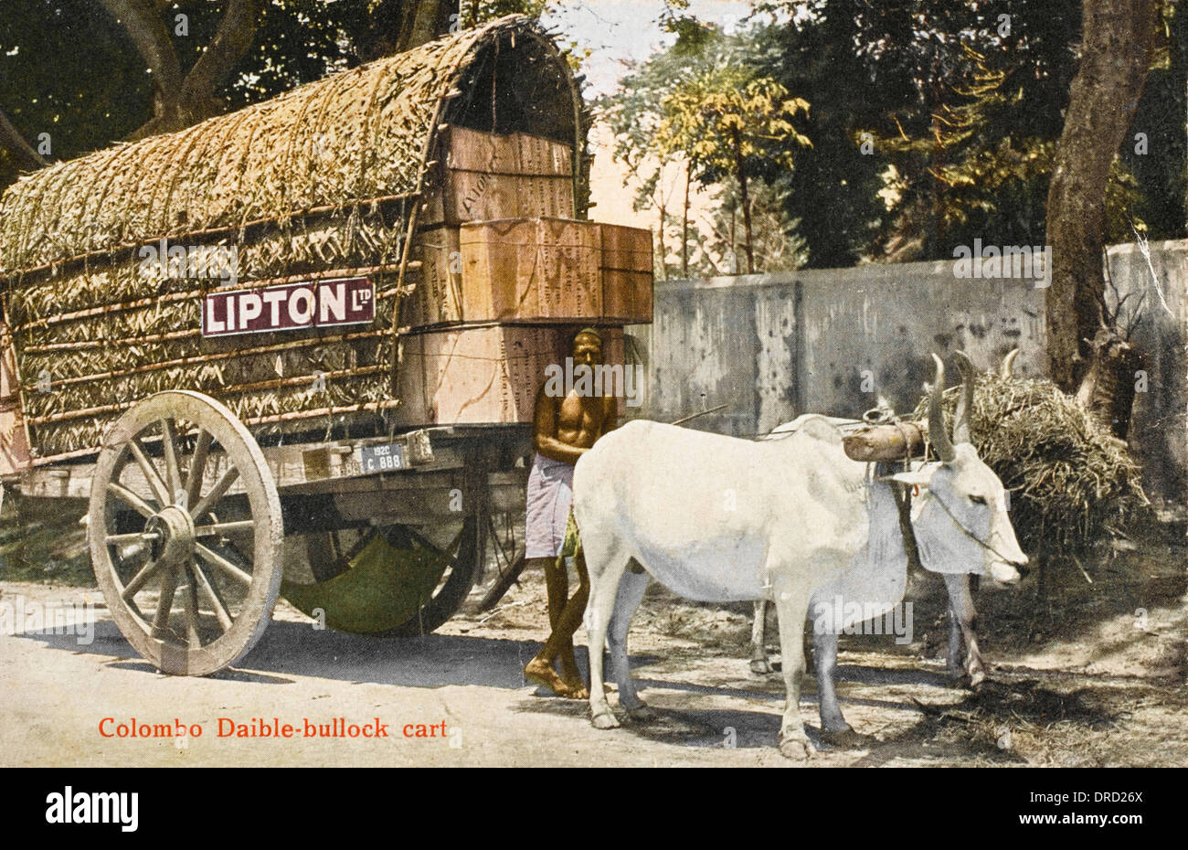 Ox-pulled wagon  - Lipton Tea Company Stock Photo