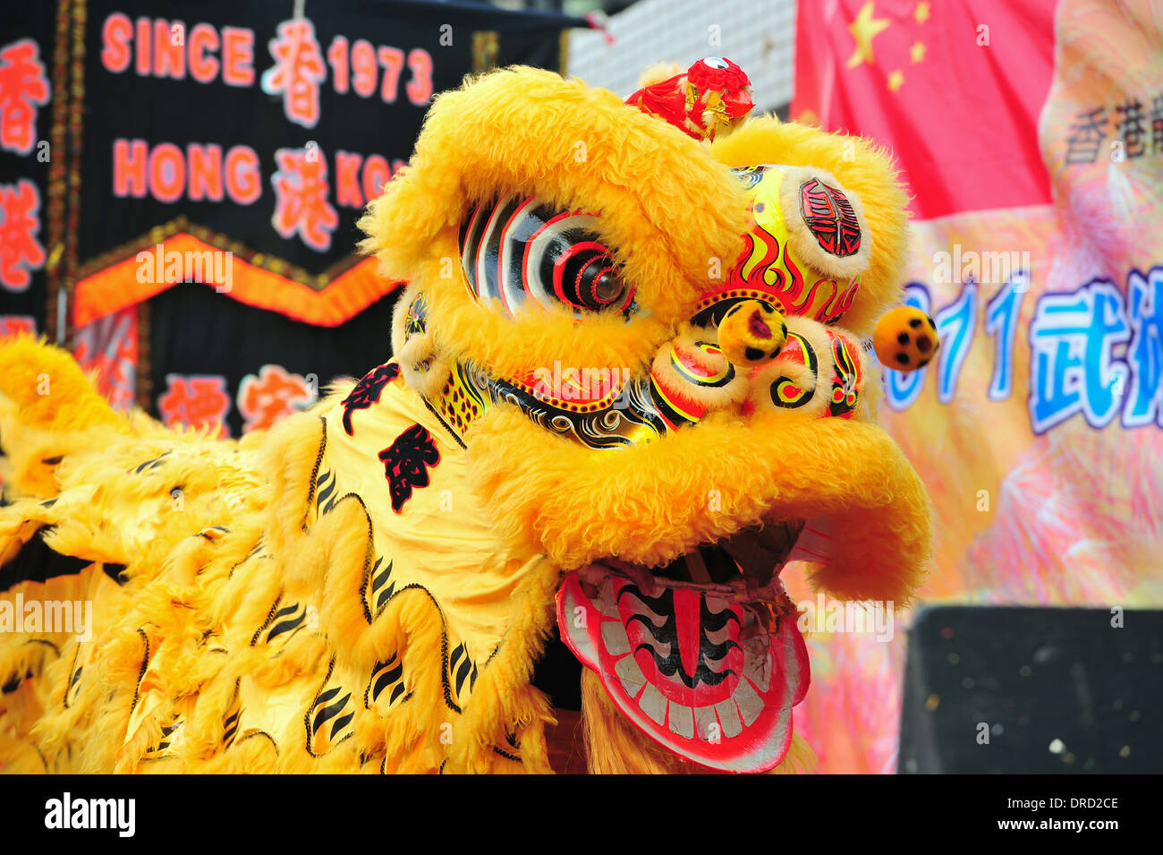 Lion dance chinese new year hi-res stock photography and images - Alamy