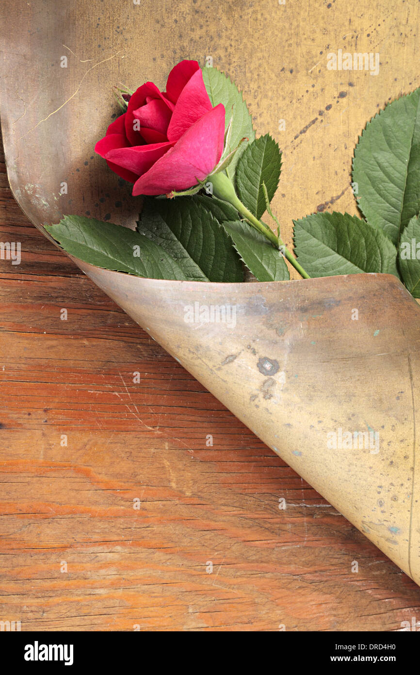 Abstract flower composition with copper and wood background Stock Photo