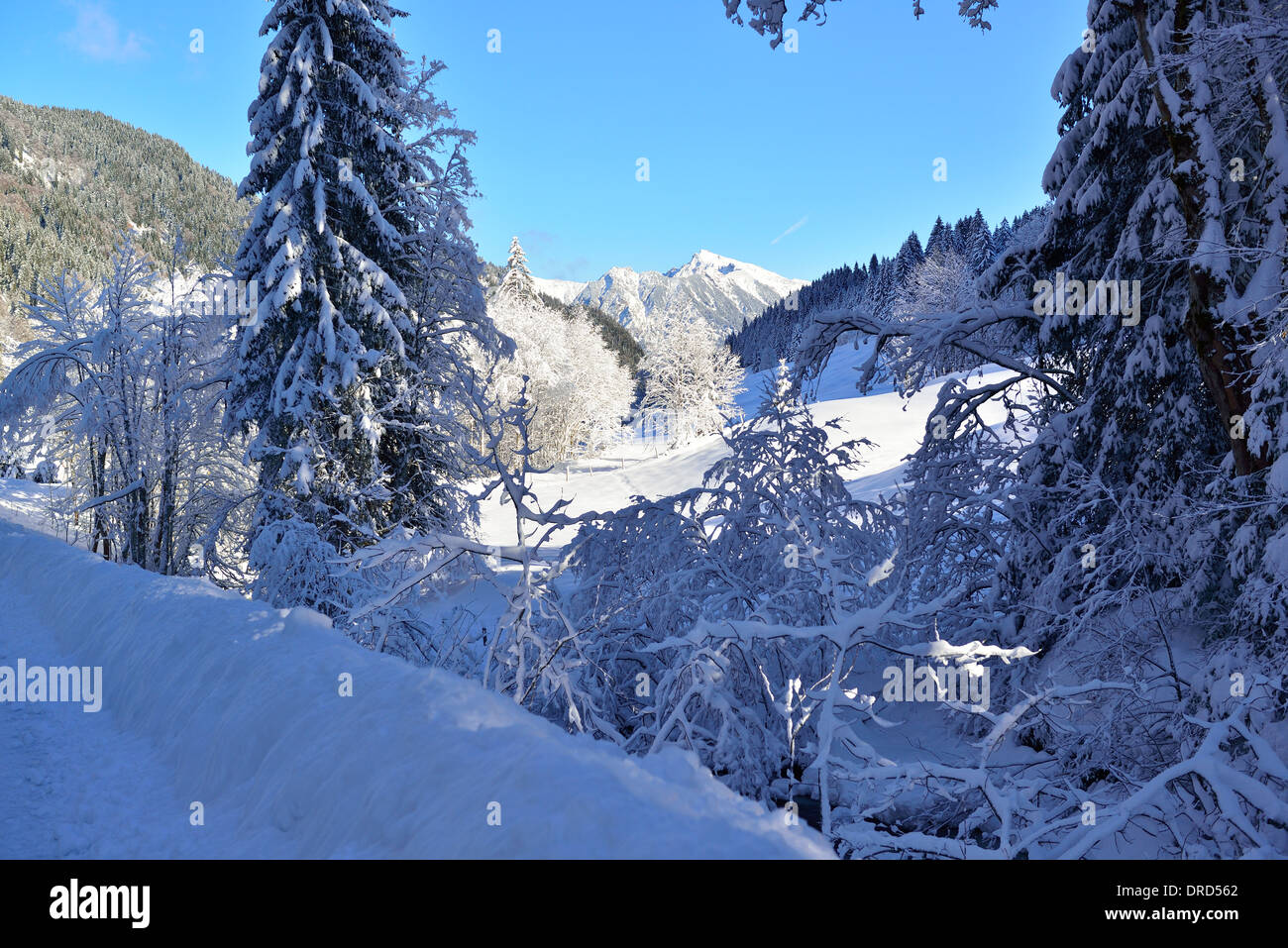 Winter Wonderland in Rohrmoos valley(Tiefenbach)just outside Oberstdorf